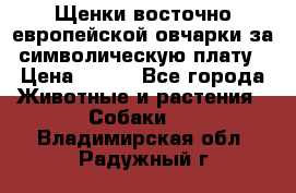 Щенки восточно европейской овчарки за символическую плату › Цена ­ 250 - Все города Животные и растения » Собаки   . Владимирская обл.,Радужный г.
